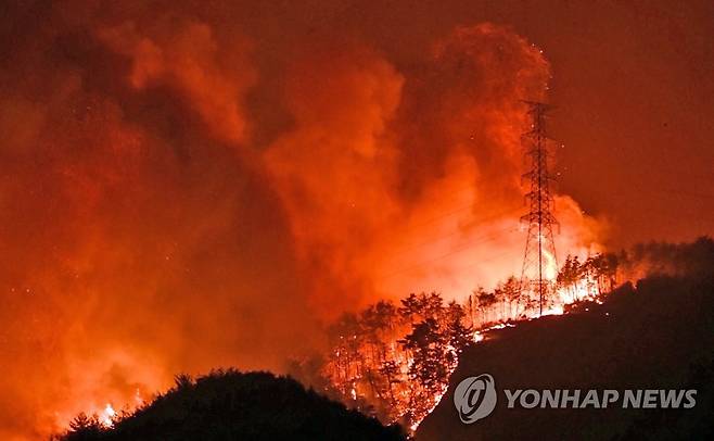 송전탑 주변에 불타는 산불 (삼척=연합뉴스) 지난 4일 경북 울진에서 난 산불이 강풍을 타고 북쪽인 강원 삼척까지 번지는 가운데 삼척시 원덕읍 고적마을 일대 산림이 불길에 휩싸여 있다. 2022.3.4 [삼척시 제공. 재판매 및 DB 금지] hak@yna.co.kr