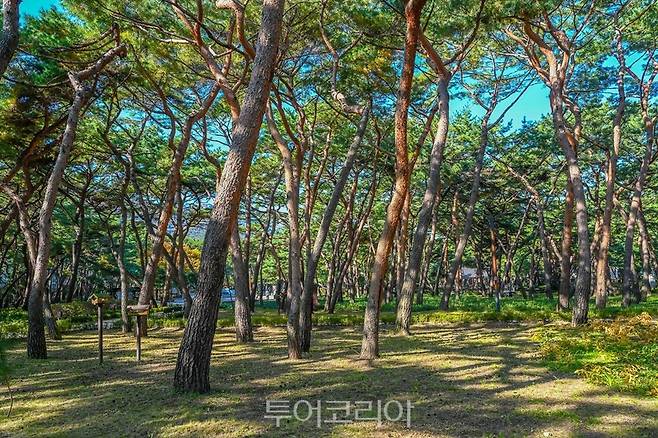 솔밭근린공원