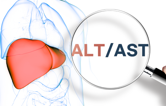 ALT와 AST 수치는 간 건강을 확인할 수 있는 소중한 지표다