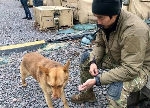 “살아있다. 내 대원들은 우크라이나에서 안전하게 철수했다”고 밝힌 이씨는 자신이 혼자 남아 할 일이 많다고 설명했다. 이어 “임무 수행 완료까지 또 소식 없을 것이다”라며 참전 사실을 분명히 했다. 그러면서 “연락하지 마라. 매일 전투하느라 바쁘다”고 강조했다.
