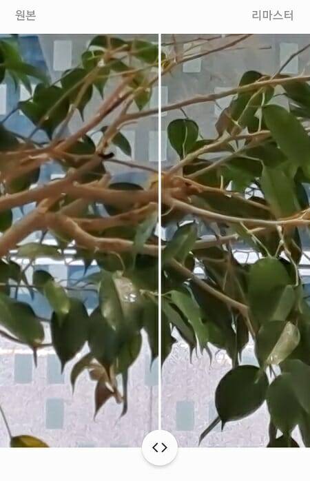삼성 갤럭시 A53 사진 리마스터 기능을 실행한 사진. 왼쪽이 보정 전, 오른쪽이 보정 후 (사진=갤럭시A53 화면 캡쳐)