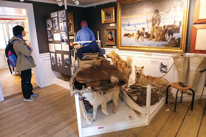 살아 움직이는 듯한 그린란드 썰매견 박제.