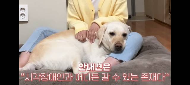 유튜버 우령은 한 유명 프랜차이즈 식당에서 시각장애 안내견 출입을 거부 당했다. 유튜브 채널 '우령의 오디오' 캡처