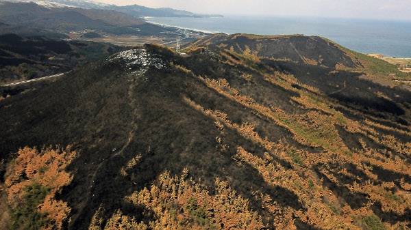 지난 20일 하늘에서 바라본 강원도 동해시 오학산 일대 산불 피해 현장 모습. 산림 곳곳이 검게 그을려 있다.
