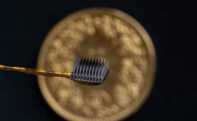 연구팀이 환자의 뇌 운동피질에 이식한 미세전극 어레이 중 하나. 가로세로길이가 3.2mm인 정사각형 모양이다. 이 어레이에는 바늘 모양 전극 64개가 달려 있어 뇌신호를 기록할 수 있다. 스위스 비스생물학및뇌공학센터 제공