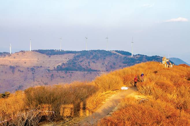 한우산 철쭉도깨비숲을 오르는 등산인들 뒤쪽으로 문지기 도깨비와 풍력발전기가 어우러진다.