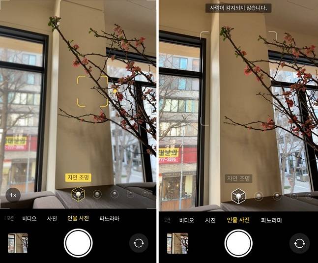 아이폰12프로(왼쪽)와 아이폰SE 3세대 인물사진 모드를 사용하는 모습. SE3는 사람이 아닌 사물은 인식할 수 없었다. / 사진=백유진 기자 byj@
