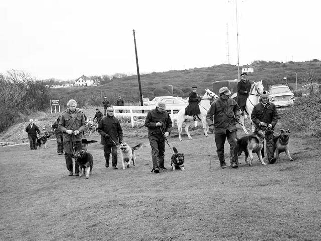 영국 경찰이 루칸 백작이 마지막으로 목격된 곳인 뉴헤이븐의 한 골프장에서 1974년 11월 27일 경찰견을 동원한 수색 작업을 하고 있다. 데일리미러 캡처