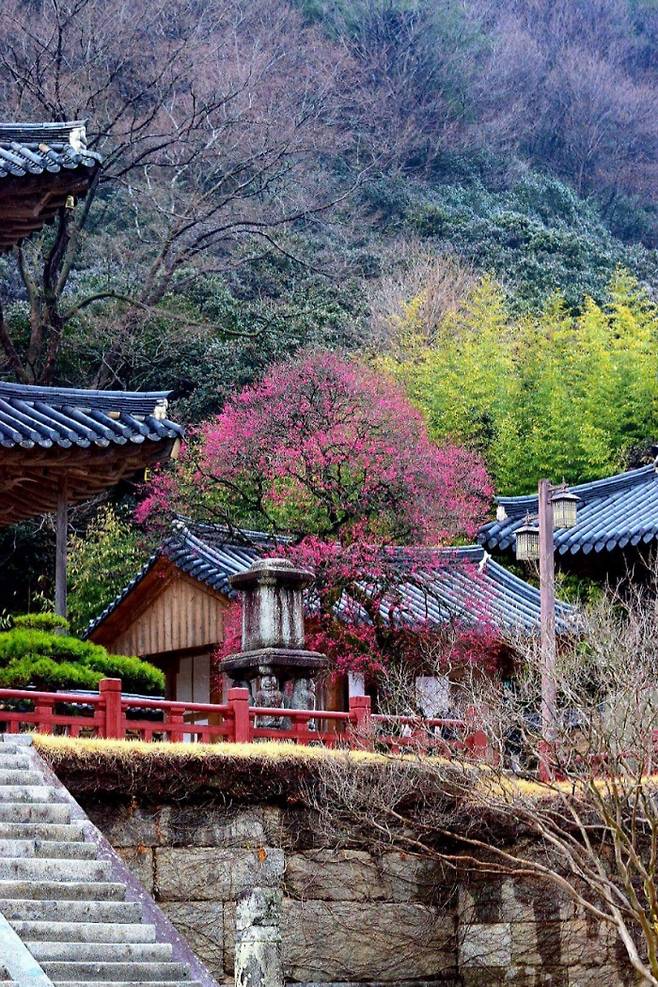 방광마을 인근 화엄사. 화엄사 제공