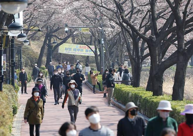 4월의 첫 주말인 3일 오전 3년 만에 개방된 서울 송파구 석촌호수를 찾은 시민들이 산책하고 있다. 연합뉴스 제공