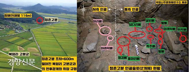 전남 나주 평야에 자리잡고 있는 복암리 고분을 내려다보고 있는 형국인 정촌고분. 발굴결과  영산강 유역권에서는 가장 규모가 큰 굴식돌방에서 3기의 목관이 확인됐고, 그중 2개체의 인골이 확인됐다.|국립나주문화재연구소 제공