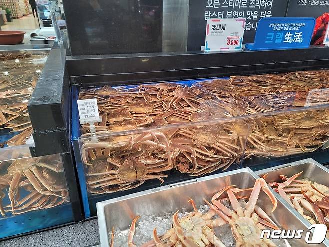 대형마트에서 할인 판매하고 있는 러시아산 대게(독자 제공).© 뉴스1