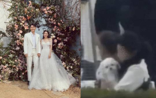 The new bride Son Ye-jin is in the spotlight as an unexpected child.Son Ye-jin recently collected topics with his child actor Park Jae-joon and his dog Kitty, who had a relationship in JTBC drama Thirty, Nine.The child actor Park Jae-joon made a relationship with the story adopted by Son Ye-jin in the play, and Kitty attended the marriage ceremony of Son Ye-jin and Hyun Bin.Park Jae-joon released a photo of Son Ye-jin and his affectionately taken together on his instagram on the 1st.In the meantime, he attracted attention by mentioning the story of Cha Mi-jos adoption of Choi Hoon (Park Jae-joon) at the nursery school.My aunt Mizo adopted Hoon, said Park Jae-joon, a warm Mizoimo. No, now Mizomo. I congratulate Son Ye-jin actor on marriage.As Park Jae-joons SNS posts gathered a lot of topics late, articles titled Son Ye-jin, adopted son and Hunhun, Son Ye-jin, adopted son and affectionately were poured into the entertainment news page.On the other hand, Son Ye-jins dog Kitty attracted attention with the fact that she attended the Mom Son Ye-jin marriage ceremony.Recently, the online community has posted photos of Kitty, a dog that was captured at the marriage ceremony of Son Ye-jin and Hyun Bin.According to the author of the article, Kitty attended the marriage ceremony of Son Ye-jin and Hyun Bin at the Aston House of Walkerhill Hotel in Gwangjang-dong, Seoul on March 31, and watched the marriage ceremony in the arms of actor Gong Hyo-jin who attended as a guest.As Son Ye-jin has often revealed his daily life with Kitty through SNS, Kittys participation in the marriage ceremony has gained high interest.In various entertainment media, Kitty who watched her mother in Gong Hyo-jin reported the news.Son Ye-jin and Hyun Bin have still received public attention since One Week has posted the marriage ceremony.The two men, who have not gone straight on their honeymoon since the marriage ceremony, are now known to be staying at their newlyweds house in Guri City, Gyeonggi Province.