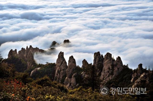 ▲ 용아장성의 운해경