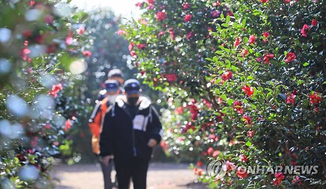 제주 올레길 [연합뉴스 자료사진]