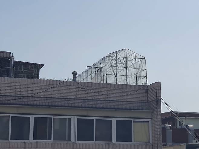 지난 7일 서울 동대문구 장안동의 한 건물 옥상에 허가받지 않은비닐하우스가 설치돼 있다. /노수아 기자
