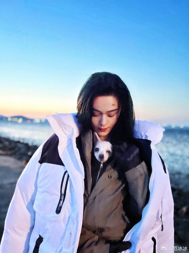 Fan Bingbing, who starred in the Korean drama cameo, has revealed his recent situation.Fan Bingbing told his Weibo account on the 9th, On a remote island, the blue night, the head is warmed, the auspicious, the shooting is over smoothly. He said, The journey back to pure and pure mind, the spirit is clear.In addition, several photos were released: in the photo, Fan Bingbing was seen wearing a white puppy in his arms and a thick outer layered together.Fan Bingbing, who was in the background of the sea, stared at the distant place with a faint expression, and looked down at the puppy in his arms.What stands out is the scar on Fan Bingbings forehead above his left eyebrow; many fans are curious about the scars that appear to be makeup during filming.Fan Bingbing has recently been known to appear in a cameo in the JTBC drama Insider starring Kang Ha-neul and Lee Yu-young.It was reported that he took a shot in search of Korea in February, and then Fan Bingbing posted a picture taken at the shooting site on SNS.Meanwhile, Fan Bingbing was investigated by China authorities for tax evasion after a double contract was revealed in 2018 and paid a large amount of fines and fines.China has virtually suspended acting activities.
