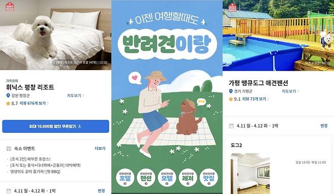 반려견 동반 가능한 숙박시설(여기어때 홈페이지 갈무리) © 뉴스1