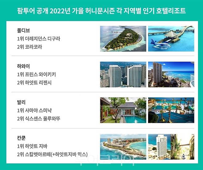 원픽 리조트 그래프