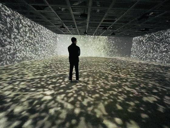 알도 탐벨리니,'우리는 새로운 시대의 원주민들이다'. 2020, Immersive Video,10분 40초. [사진 이은주]