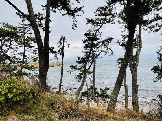 대왕암공원의 울산교육원(옛 방어진중학교) 건물에서 바라본 바다. 이곳에서 울산시립미술관 소장품 30점을 소개하는 특별전이 열렸다. [사진 이은주]