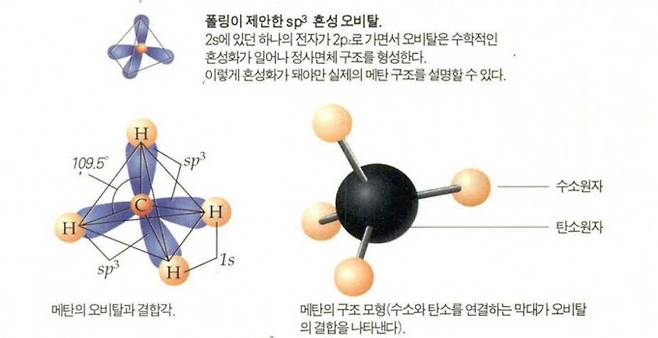 폴링이 제안한 혼성오비탈. 과학동아DB
