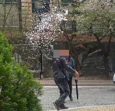 벚꽃잎을 손에 모아 날리며 이리 좋아하는 이도 있었다. 해맑게 웃는 모습에 나도 함께 따라 웃었다./사진=남형도 기자