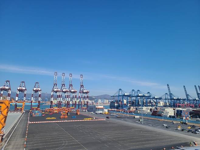 자동화 안벽 크레인(왼쪽) 촬영 박창수