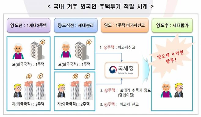 국내 거주 외국인 양도세 탈루 사례. /자료=대통령직 인수위원회