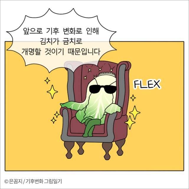 지구 온난화로 21세기 후반 고랭지 배추 재배가 어려워지면 배추김치가 ‘금치’가 되고, 생일 선물로 ‘금치’를 구해다 주는 상황이 올 수 있다는 내용이 담겼다. ＜기후변화 그림일기＞ 은꼼지 작가