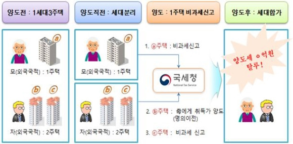 국내 거주 외국인들의 주택투기 적발 사례 [사진=인수위]