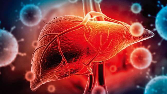 간은 우리 몸에서 가장 큰 장기이자 ‘화학공장’이다. [GETTYIMAGES]