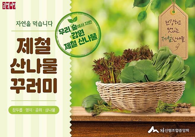 봄나물 판매 방송 [공영홈쇼핑 제공. 재판매 및 DB 금지]