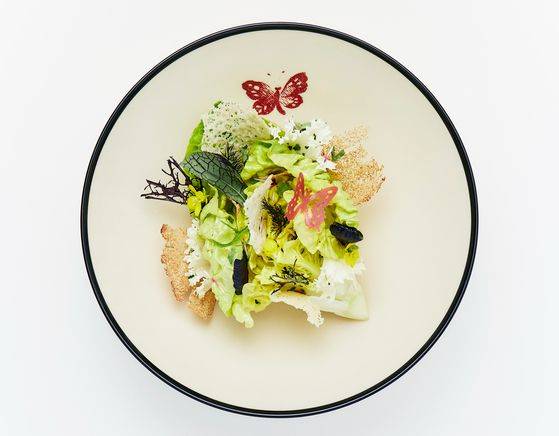 이태원에 오픈한 ‘구찌 오스테리아 서울’ 인테리어와 음식 플레이팅은 구찌만의 감성으로 꾸며졌다