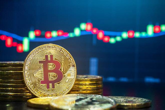 사진=이미지투데이