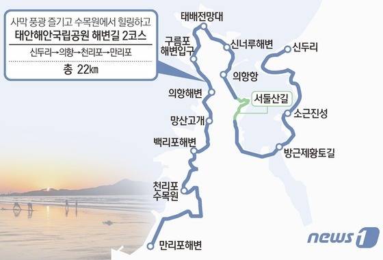 © 뉴스1 김초희 디자이너