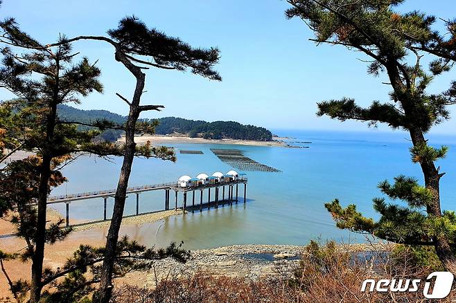 신너루 해변의 풍경. 낚시를 하기 위한 다리를 설치하고, 그 위에 이글루같은 방갈로를 설치했다 © 뉴스1