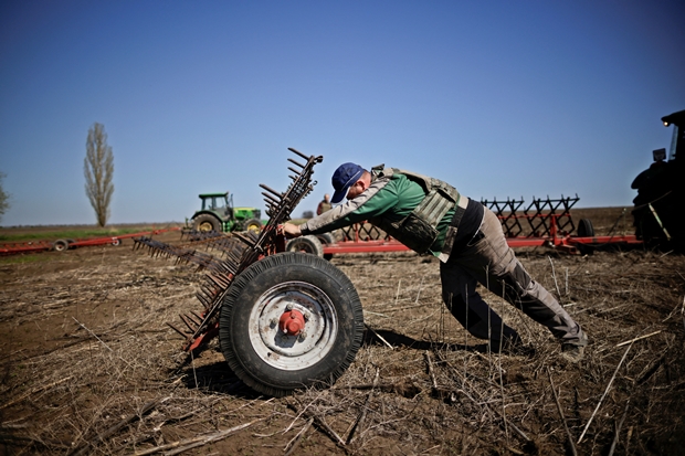 26일(현지시간) 우크라이나 남동부 자포리자에서 농부 올레크시이가 방탄조끼를 착용한 채 작업에 열중하고 있다./로이터 연합뉴스