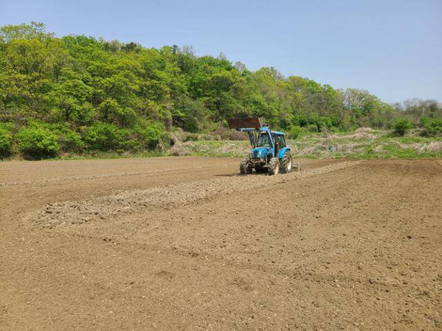 윤여진(43) 연천율무연구회장이 28일 연천 장남면 민간인 통제구역 내 자신의 율무밭을 트랙터를 이용해 갈고 있다. 이종구 기자