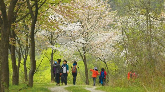 예향천리 금강변 마실길. 전북도 제공