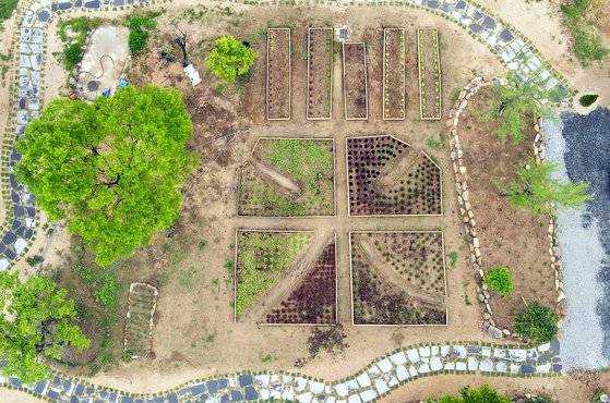 미실란 마당의 텃밭. 온갖 쌈 채소를 심었다. 텃밭을 쌀 미(米) 자처럼 만들었다.
