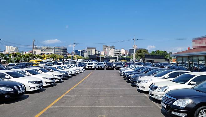 지난 5일 제주시 화북일동의 한 중고차 매장에 차량들이 주차돼 있다. /고성민 기자