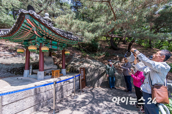 제20대 윤석열 대통령의 취임식일인 10일 오후 서울 종로구 청와대 경내 문화유산인 석조여래좌상의 모습. [사진=인수위사진기자단]