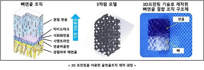 3D 프린팅을 이용한 골연골조직 제작 과정 (사진=시지바이오 제공) *재판매 및 DB 금지