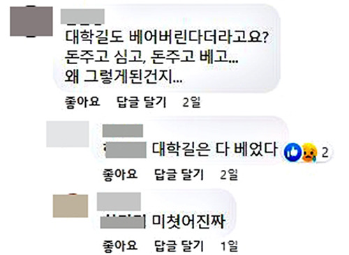 SNS 댓글 [캡처 배연호]