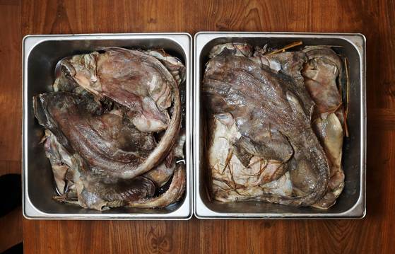 서해와 전남 신안군 흑산도(오른쪽) 홍어. 흑산도 홍어가 좀 더 노란빛을 띠고 갯벌이 적기 때문인지 아가미 부분도 더 깨끗한 편이다. 신인섭 기자