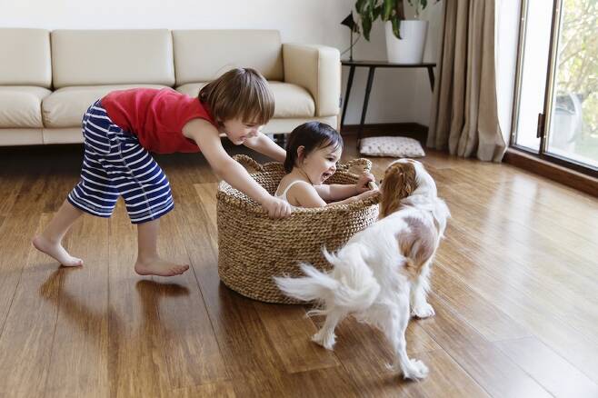 강아지와 교감하고 있는 아이들(로얄캐닌 제공) © 뉴스1