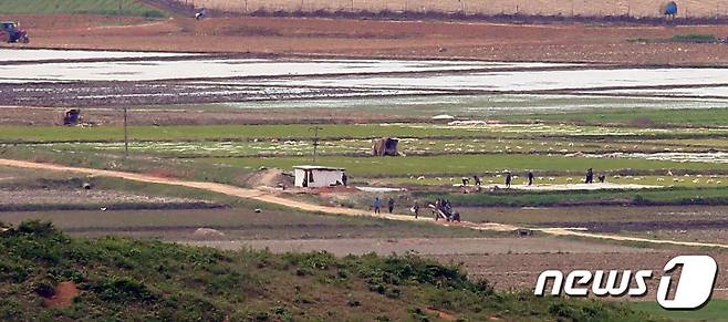 13일 경기도 파주시 오두산 통일전망대에서 바라본 북한 황해북도 개풍군에서 북한 주민들이 농사일을 하고 있다. 2022.5.13/뉴스1 © News1 김진환 기자