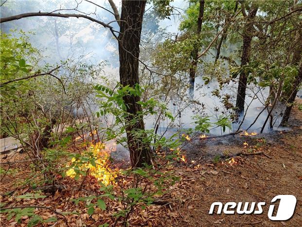 14일 발생한 수락산 귀임봉 산불 (사진제공=산림청) © 뉴스1