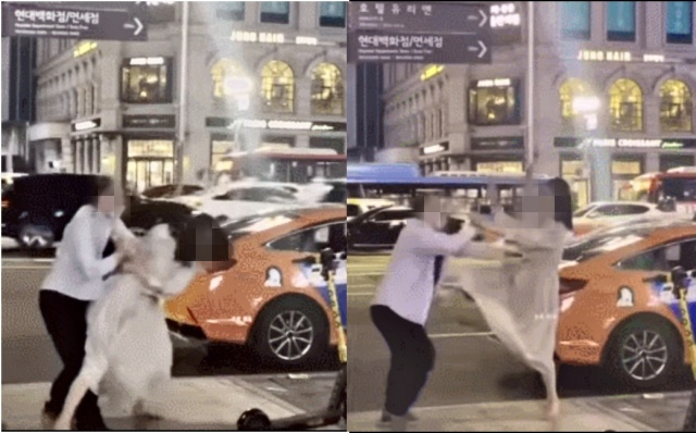 ‘삼성역 만취녀 택시기사 폭행 영상’이라는 제목으로 퍼진 동영상 일부. [온라인 커뮤니티]